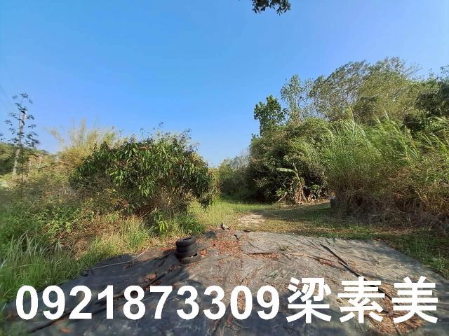 台南農地-9