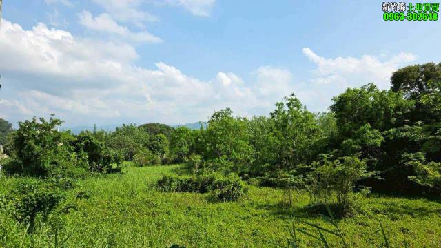 芎林工業地-9