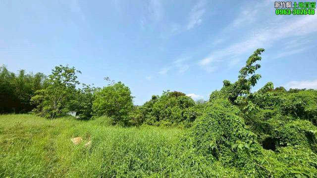 芎林工業地-0
