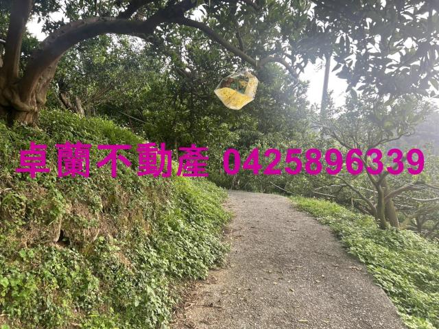 卓蘭農地-4