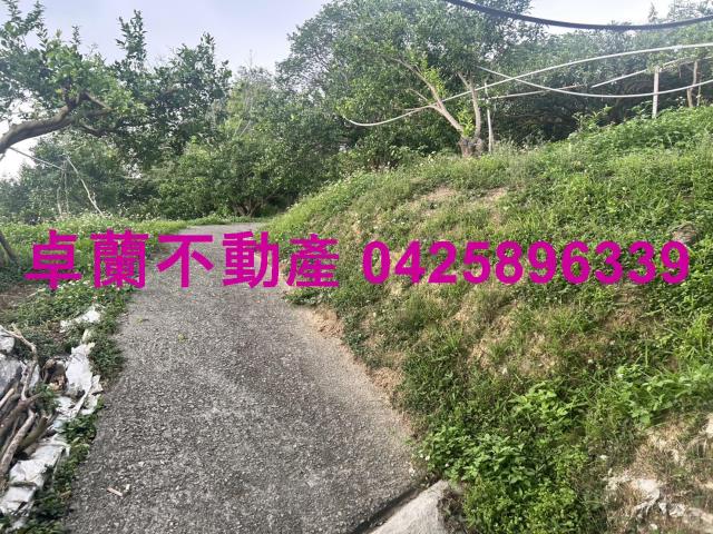 卓蘭農地-6