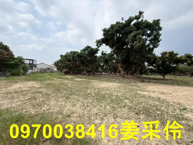嘉義農地-3