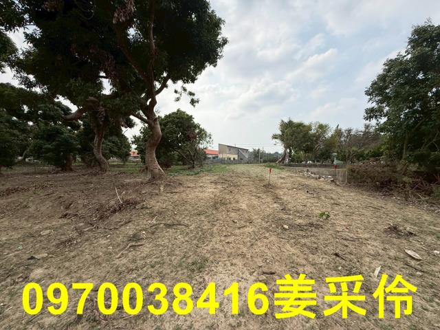 嘉義農地-4