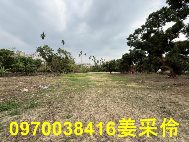 嘉義農地-5