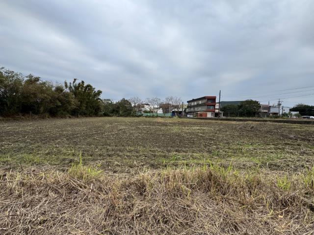 桃園農地-7