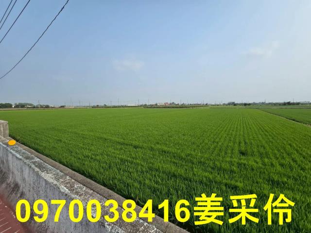 嘉義農地-11