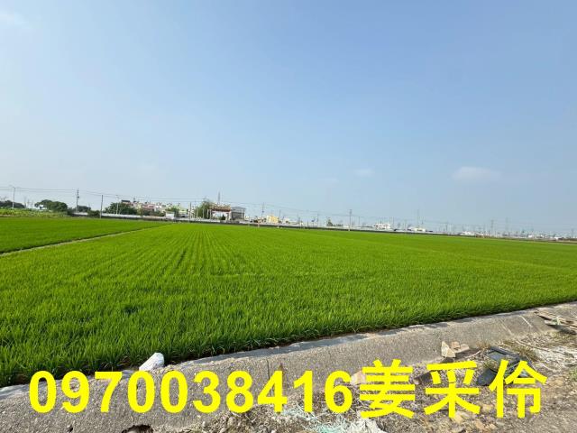 嘉義農地-8