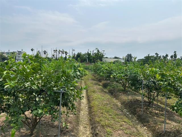 麟洛方正農地可當農保地