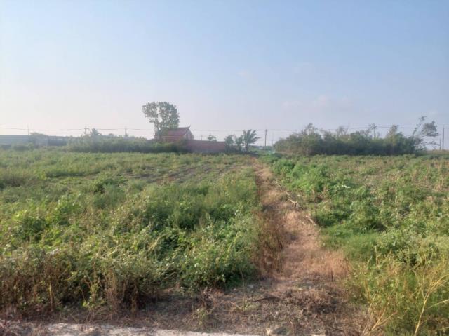 新營建地-2