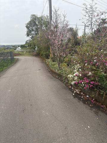 東勢農地-0