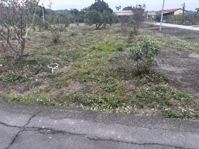 東勢農地-2