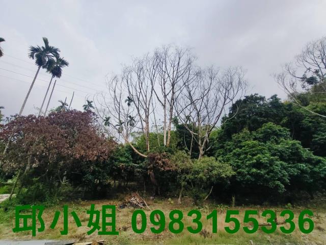 竹崎農地-8
