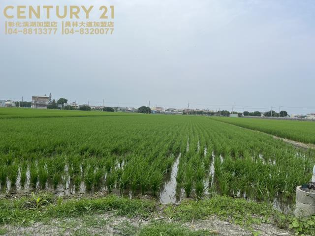 彰化農地-2