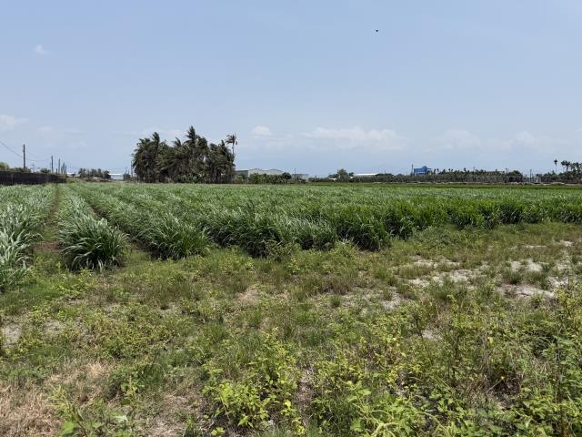 竹田車站都計農地