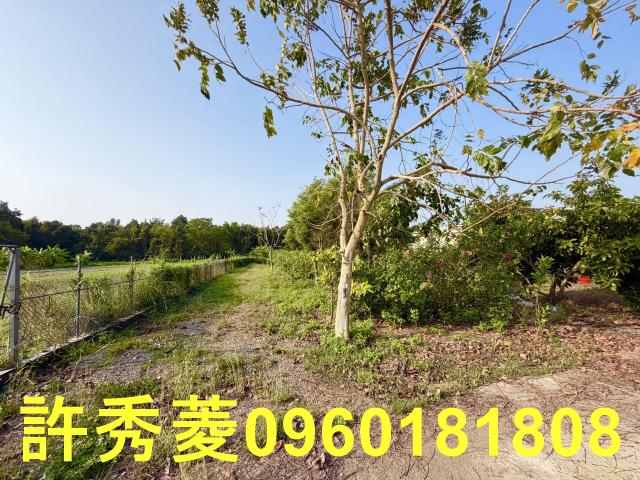 岡山農地-3