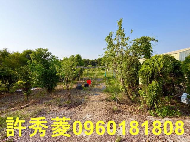 岡山農地-6
