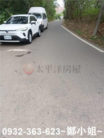 桃園農地-9