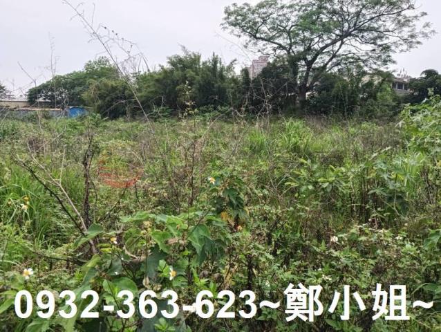 桃園農地-5