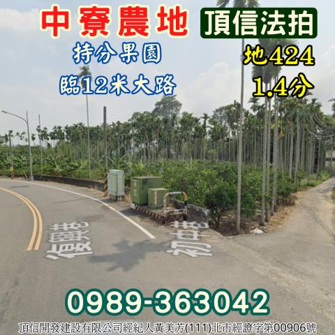 南投中寮農地法拍-0