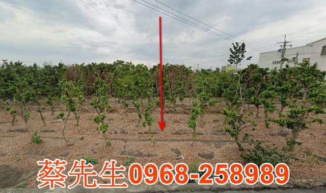 法拍彰化溪州公園農地15分黃金尺寸把公園當後花園假