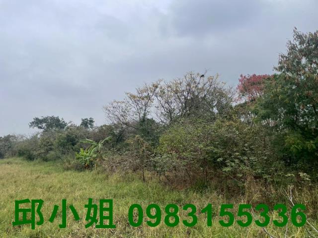嘉義阿魯米建地農地買賣台灣房屋嘉義湖子內店富鑫團隊呂昆佩