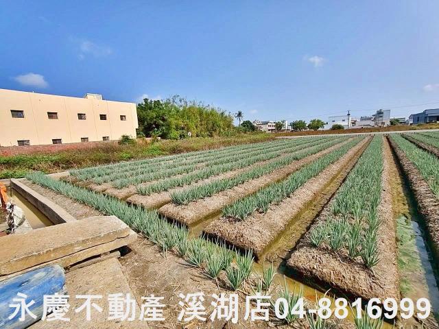 彰化埔鹽農地-5