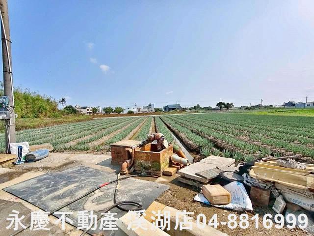 彰化埔鹽農地-7