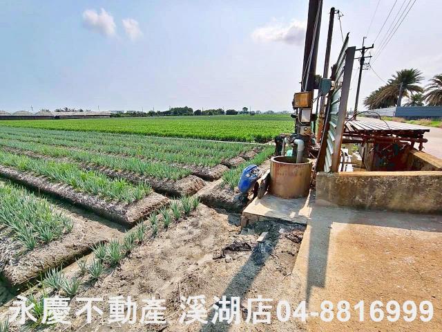 彰化埔鹽農地-0