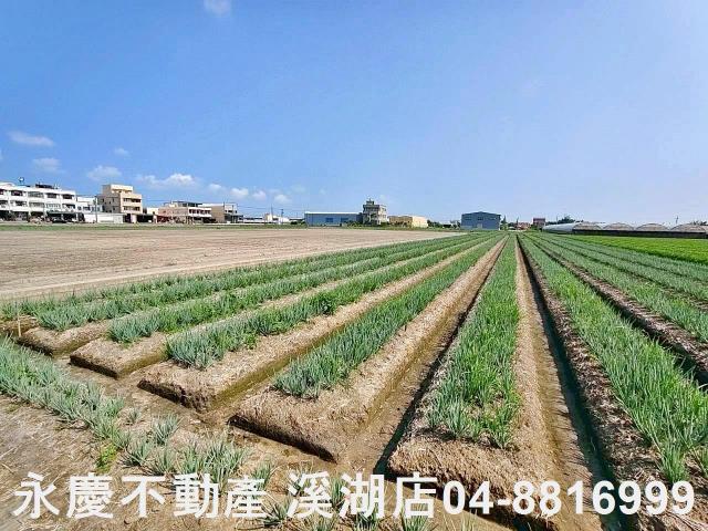 彰化埔鹽農地-5