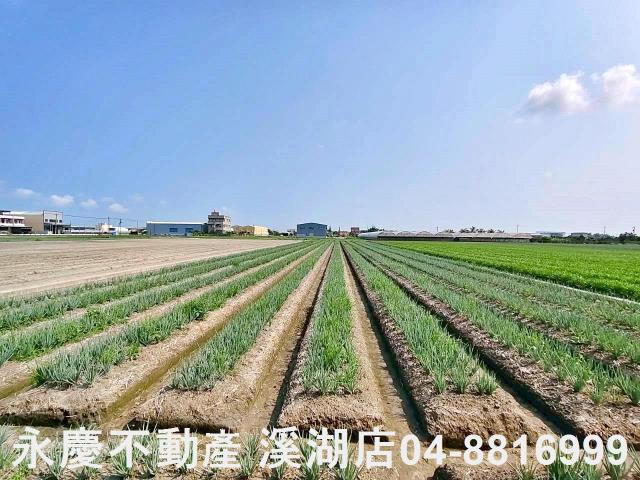 彰化埔鹽農地-6