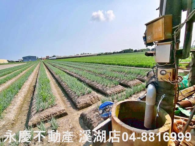 彰化埔鹽農地-7