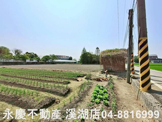 埔鹽農地-1