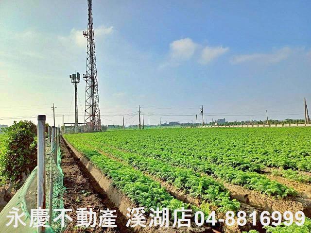 芳苑農地-1