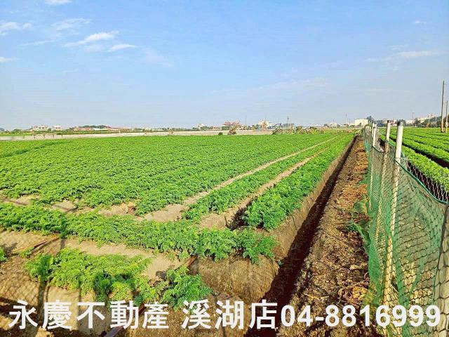 芳苑農地-3