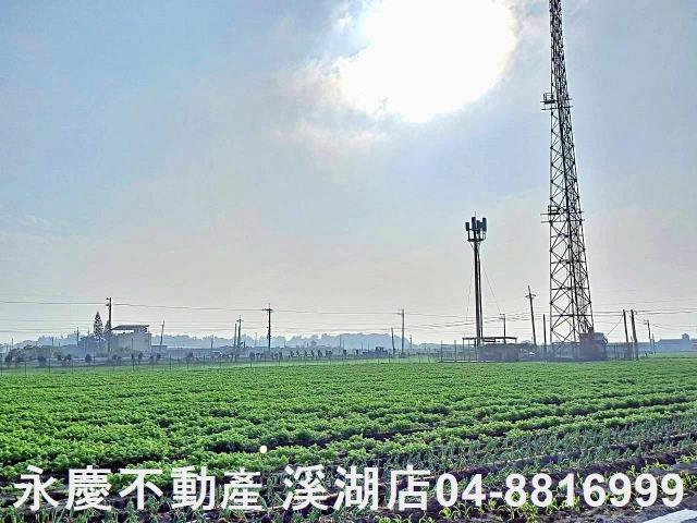 芳苑農地-8