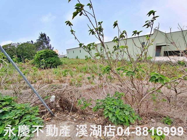 福興農地-6