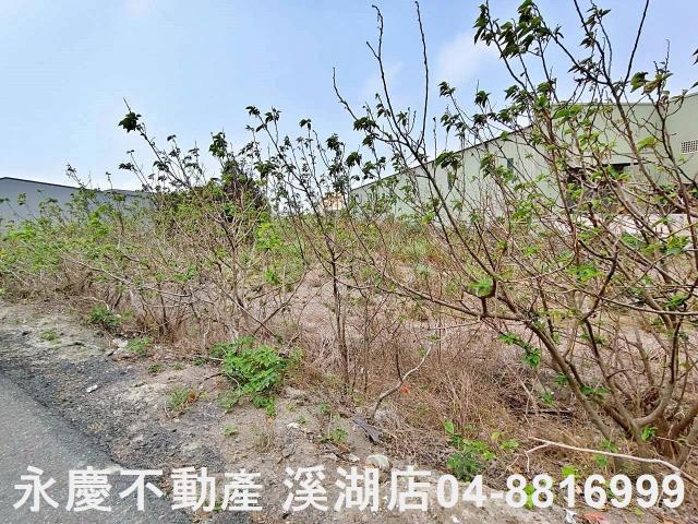 福興農地-8