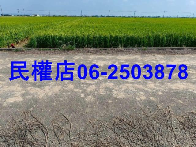 後壁農地-9
