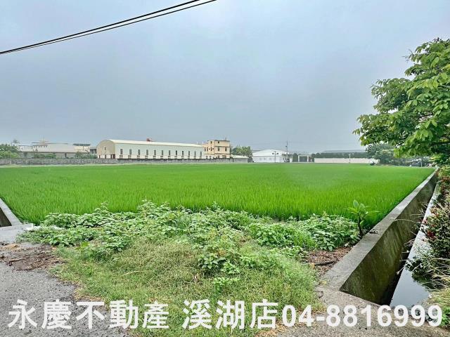 彰化大城畜牧畜禽養雞蛋雞肉雞太陽能農地土地投資開發出售