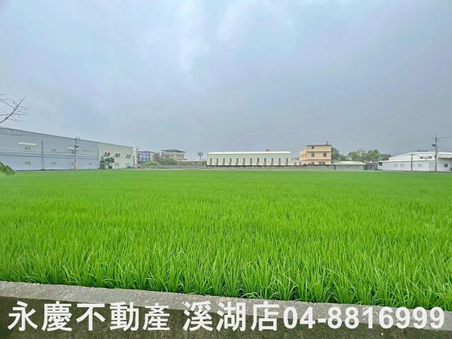 秀水農地-3
