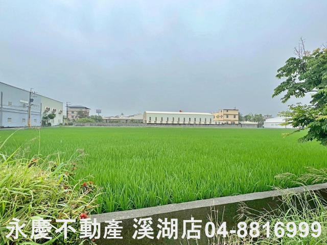 秀水農地-4