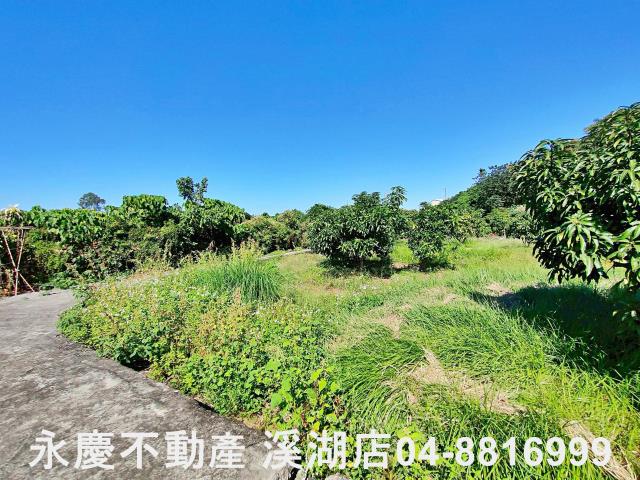 社頭農地-4