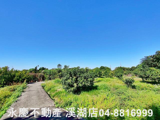 社頭農地-6