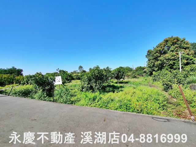 社頭農地-7