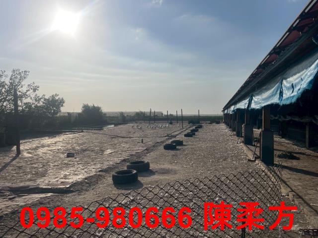 六腳農地-12