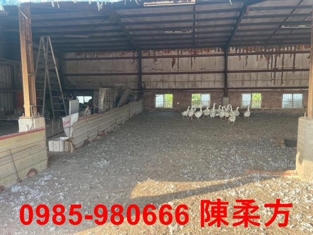 六腳農地-7