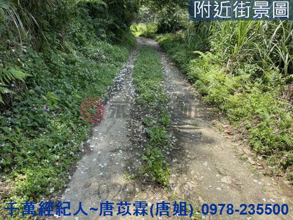橫山農地-11