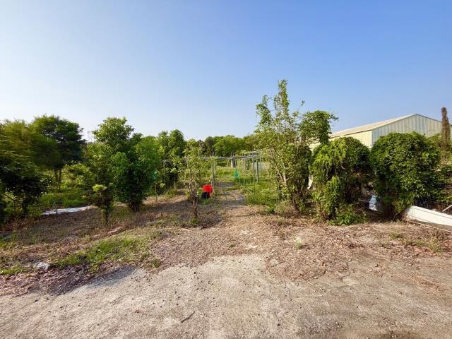 岡山農地-1