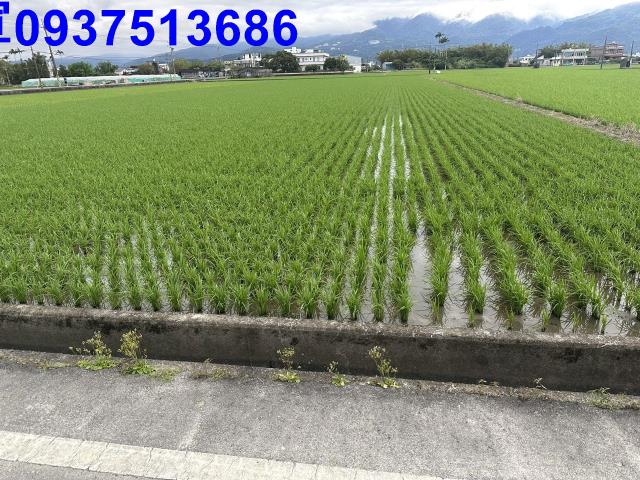 礁溪農地-12