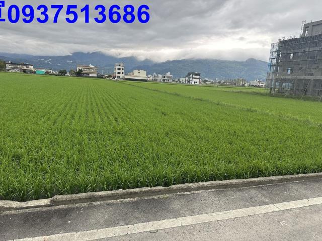 礁溪農地-6